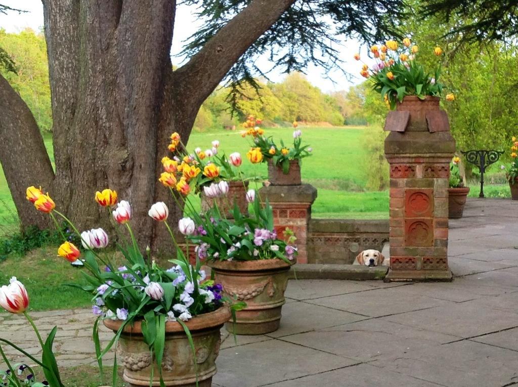ゴダルマイニング Hambledon House Bed & Breakfast エクステリア 写真